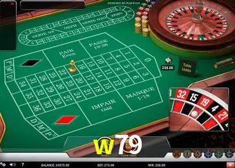 Descubra o Mundo do Cassino Online com w79